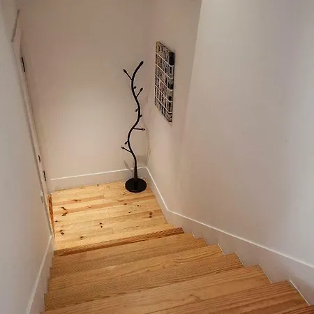Apartment Penthouse 204